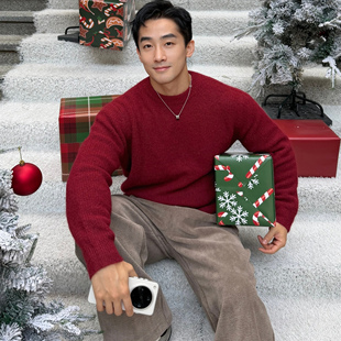 羊毛混纺彩色毛衣 休闲宽松纯色圆领针织衫 冬季 男士 新品 博衣社