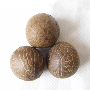 天然精选象牙果原料圆原果大果饱满近似圆果核雕果稀有特殊型随色