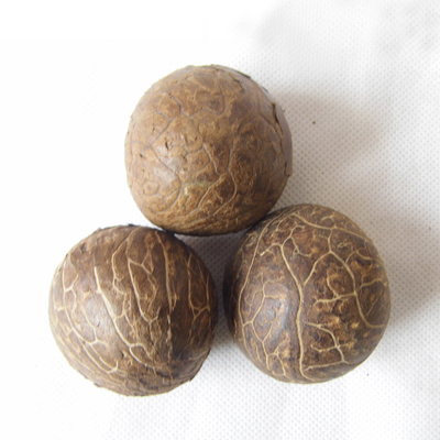 天然精选象牙果原料圆原果大果饱满近似圆果核雕果稀有特殊型随色