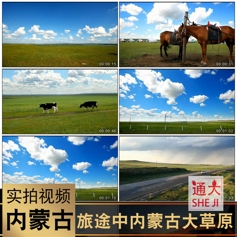 旅途中的内蒙古广阔大草原美丽旅游自然风景放牧马牛led视频素材