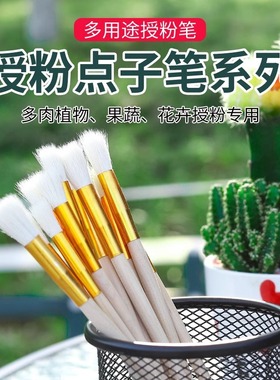 人工授粉笔授粉器草莓多肉西红柿无花果树授粉神器花粉点花授粉刷