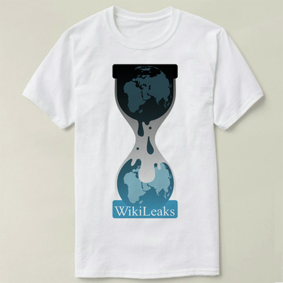 programmerwikileaksT-Shirt极男