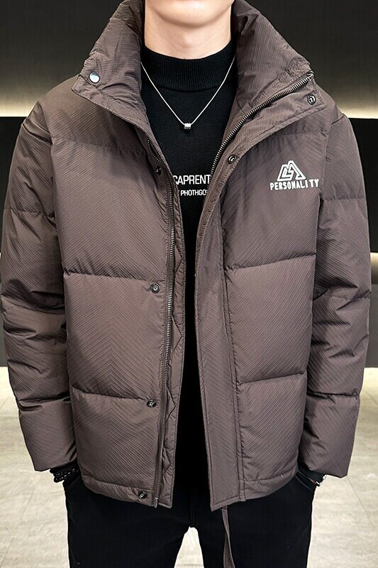 2024立领羽绒服男潮牌防风保暖外套8809P150填充物白鸭绒,男装羽绒服,电商D226