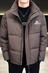2024立领羽绒服男潮牌防风保暖时尚外套8809P150填充物白鸭绒图片