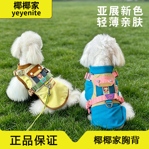 【现货】亚展黑金限定椰椰家胸背