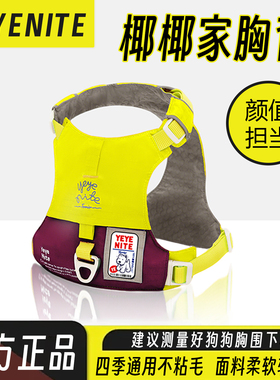 yeyenite椰椰家狗狗胸背中小型犬自动伸缩牵引绳小狗胸背嗨轻平替