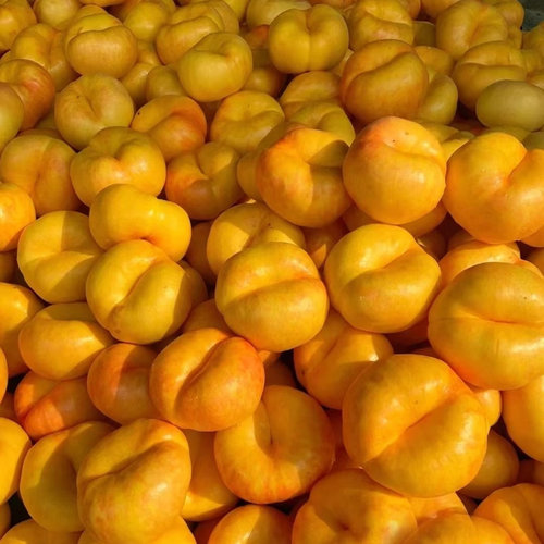 蒙阴黄油蟠桃新鲜时令水果黄油桃孕妇当季现摘脆彩虹蟠桃子