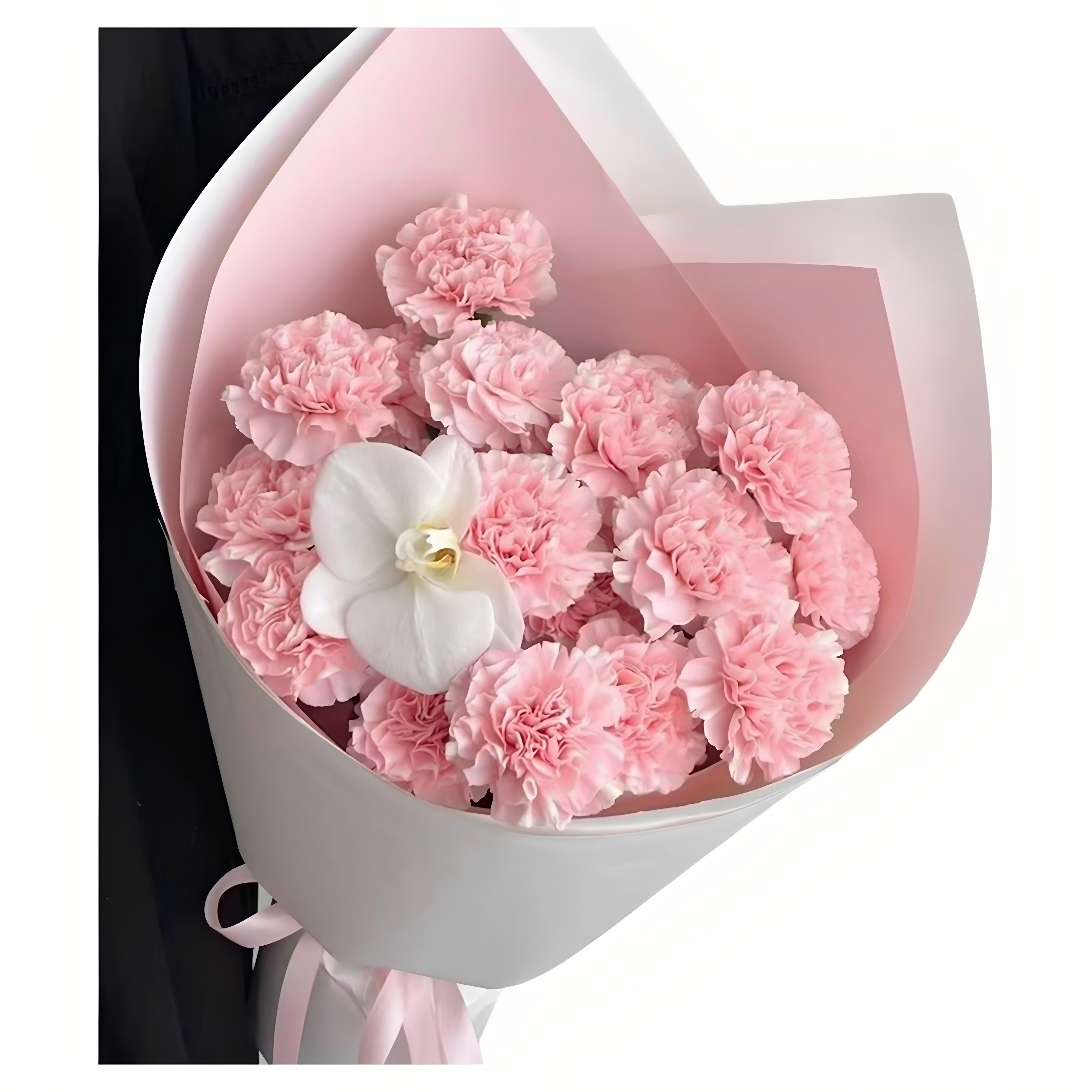 母亲节19朵康乃馨鲜花束广东阳春市英德连州普宁罗定同城配送女士