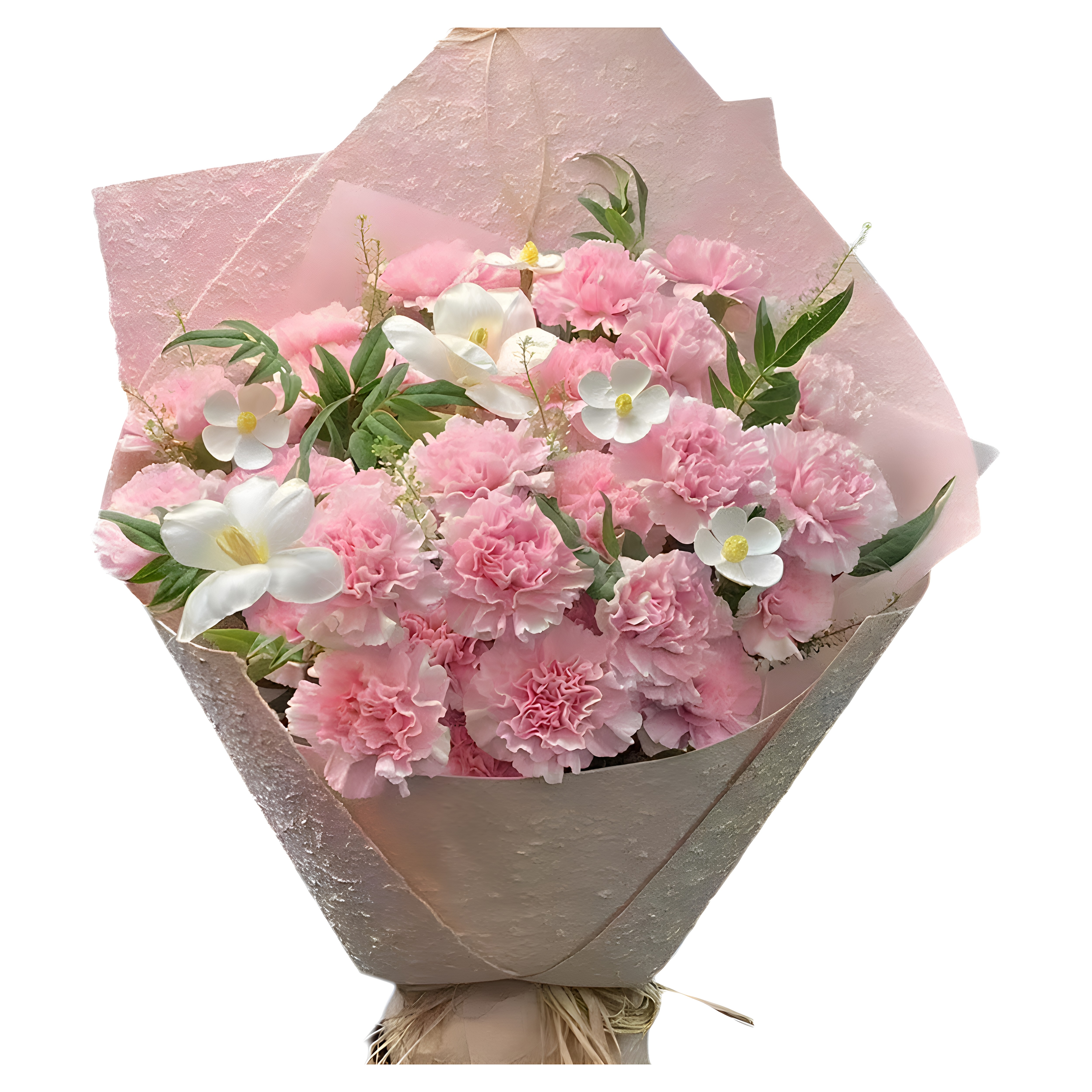 母亲生日康乃馨鲜花束四川眉山宜宾广安达州雅安巴中资阳同城速递