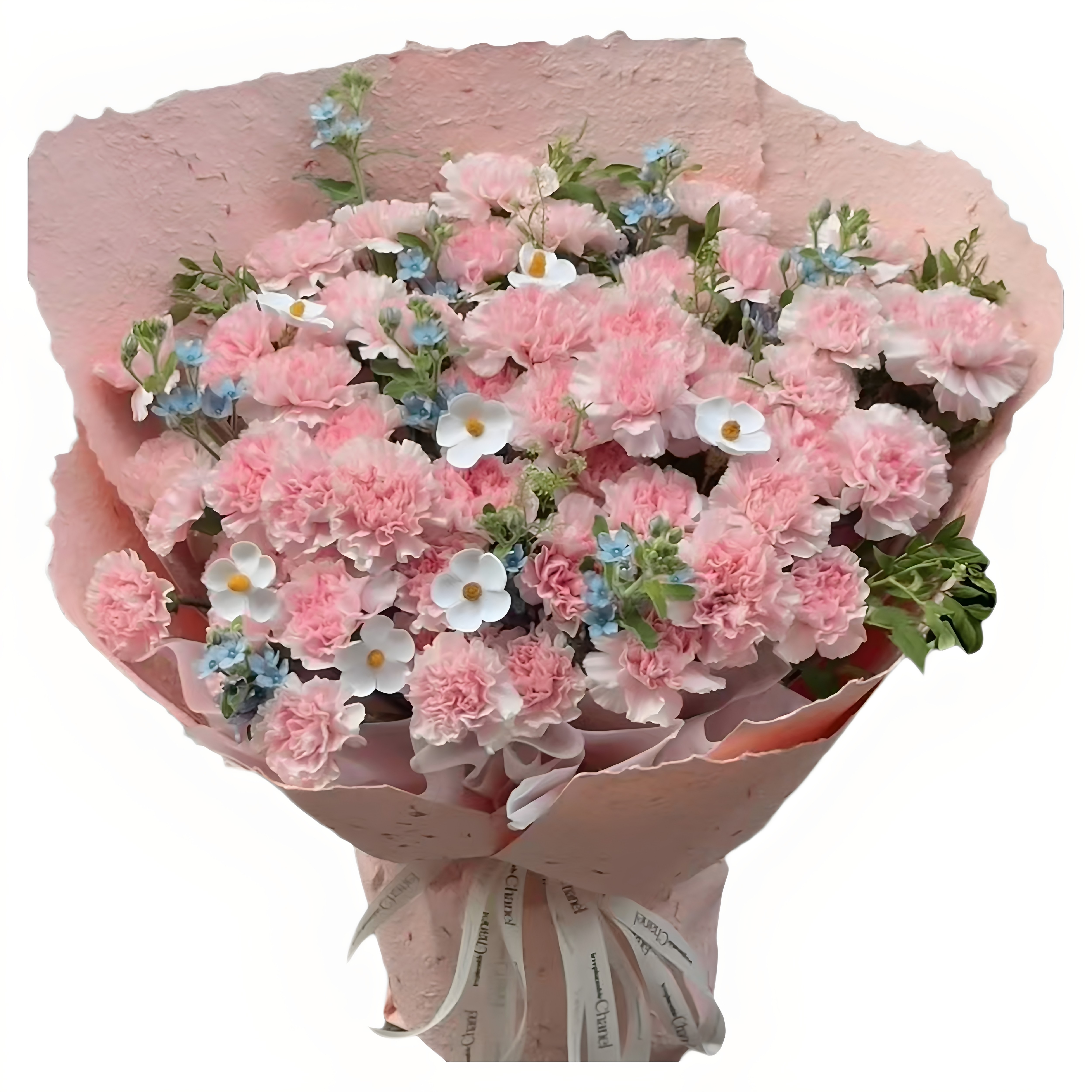 母亲节33朵康乃馨鲜花束南宁柳州桂林梧州北海防城港同城配送婆婆