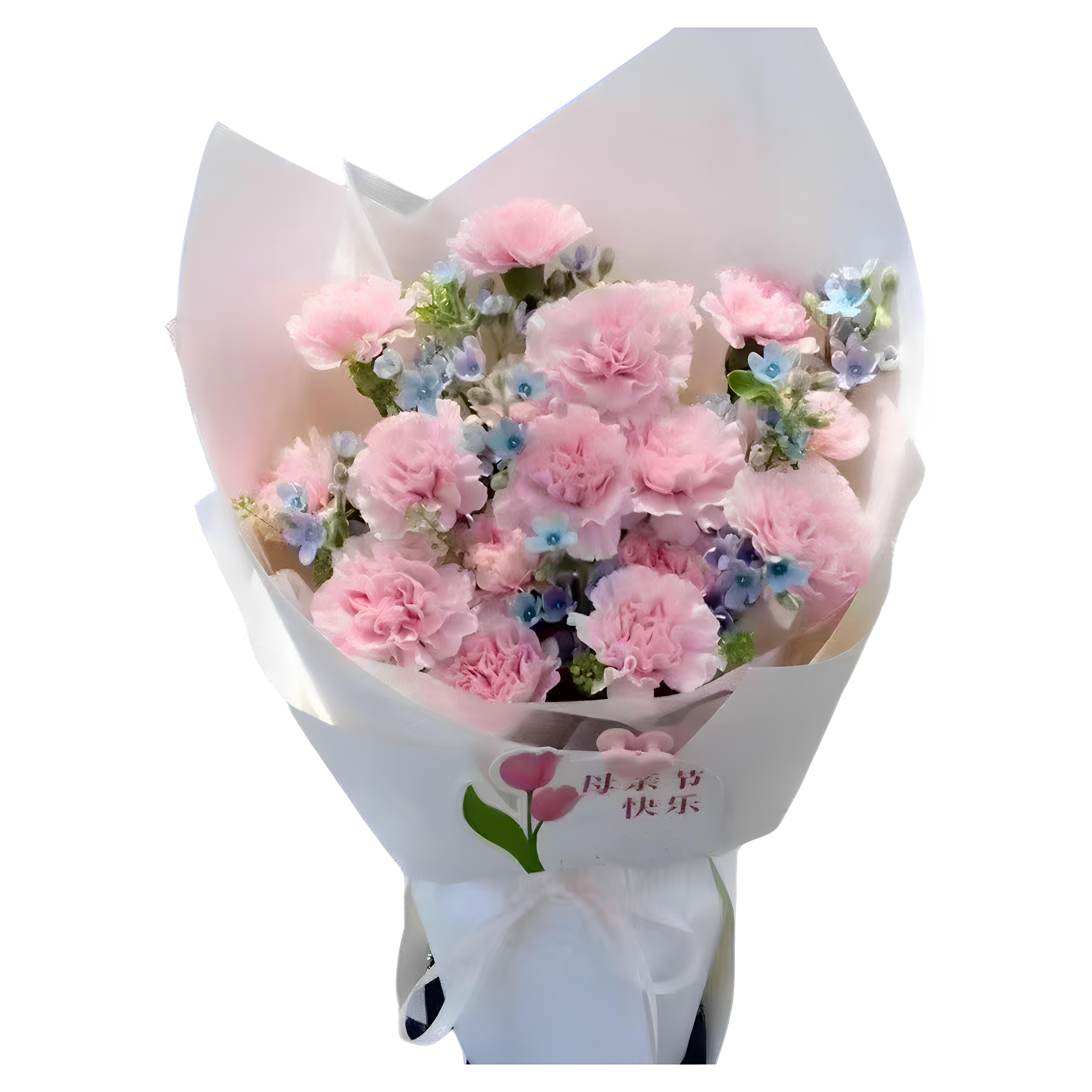 女士长辈康乃馨混搭鲜花束新疆阿克苏喀什和田哈密石河子同城配送