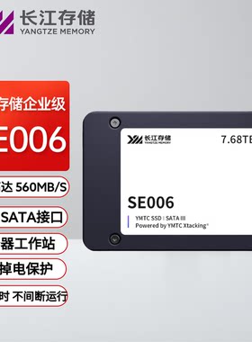 长江存储 SE006系列 国产企业级固态硬盘 2.5 寸 SATA接口国产化