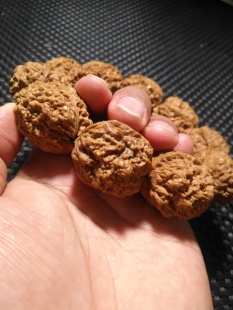 3.1毒蟾血舍利龙鳞舍利子铁核桃手串手持,爆肉纹路,皮质油性大