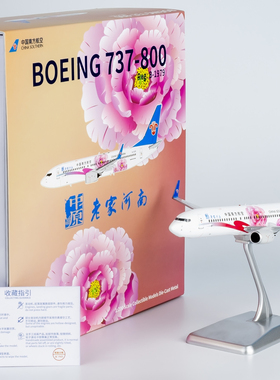 NGmodel 1:200 合金飞机模型 中国南方航空 B737-800/w B-1979