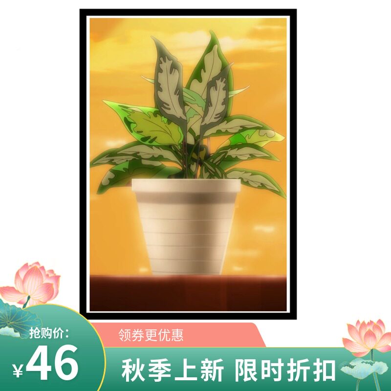 diy减压动漫植物花盆玄关自己画