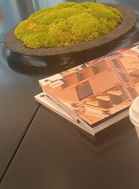 进口花盆苔藓盆景微景观室内桌面绿植禅意植物迷你盆景