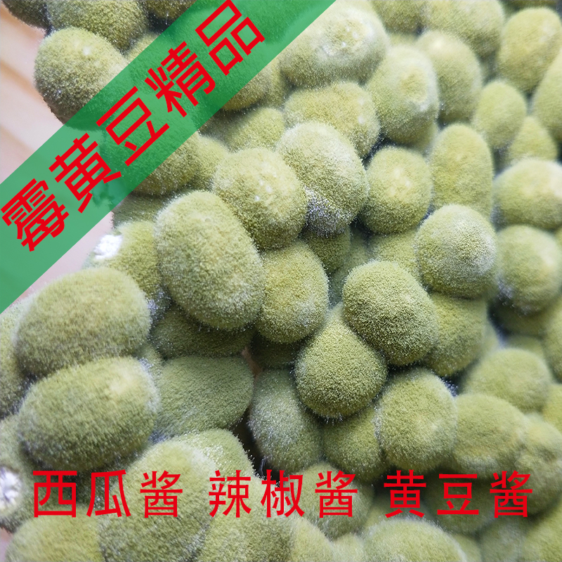 黄豆豆子霉黄豆捂豆子