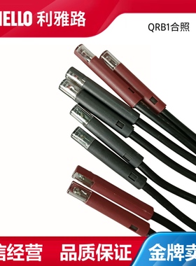 燃烧机配件火焰探测器感光高敏探头电眼QRB1玻璃泡柴油甲醇检测