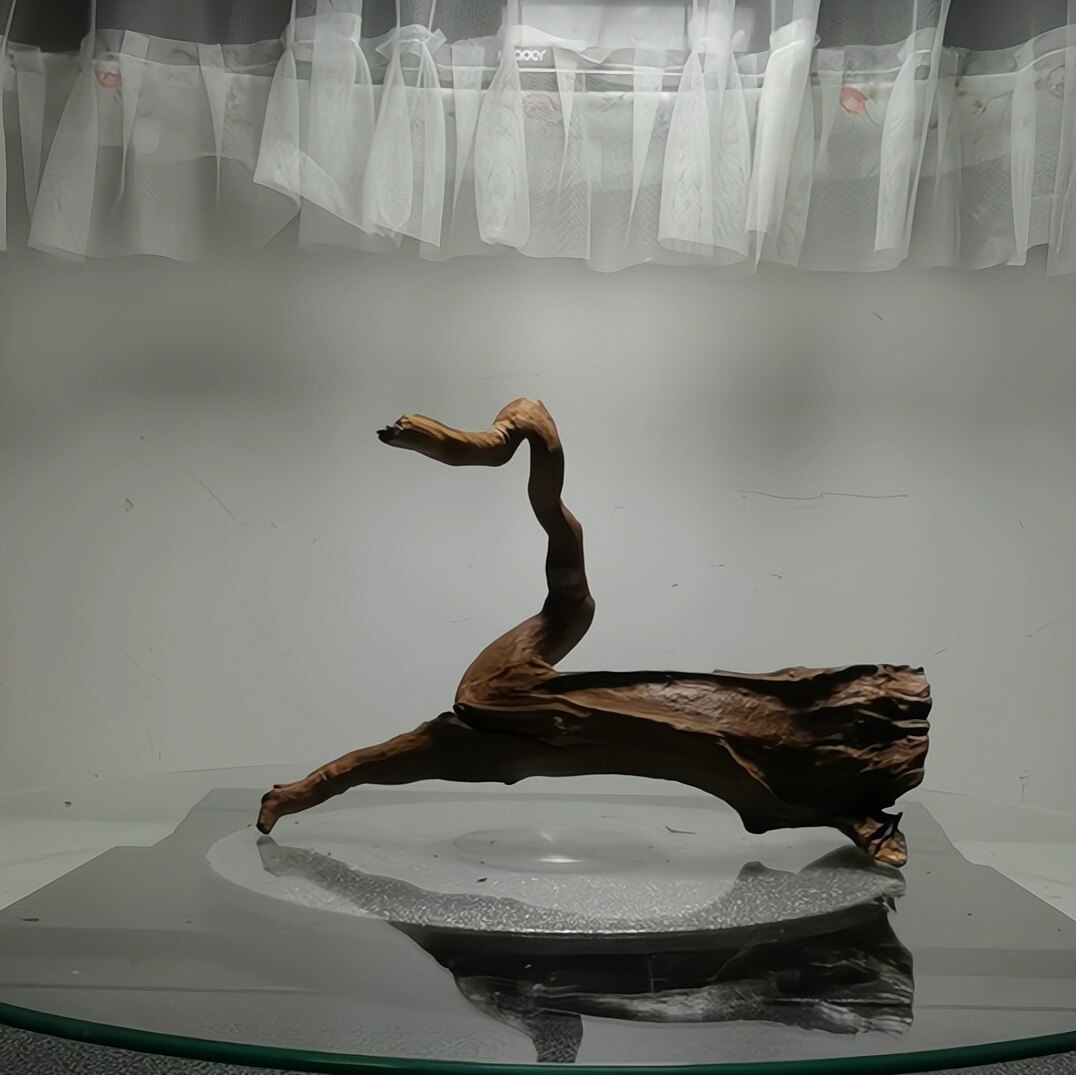 沉木紫柚木一体侧飘枝树桩水族鱼缸水草缸南美缸造景装饰木