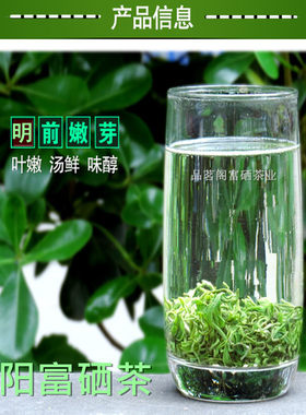 2026新茶紫阳翠峰紫阳毛尖