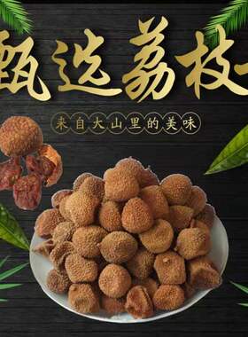 广西特产  妃子笑荔枝干 5斤/简装 晒干小核 莆田
