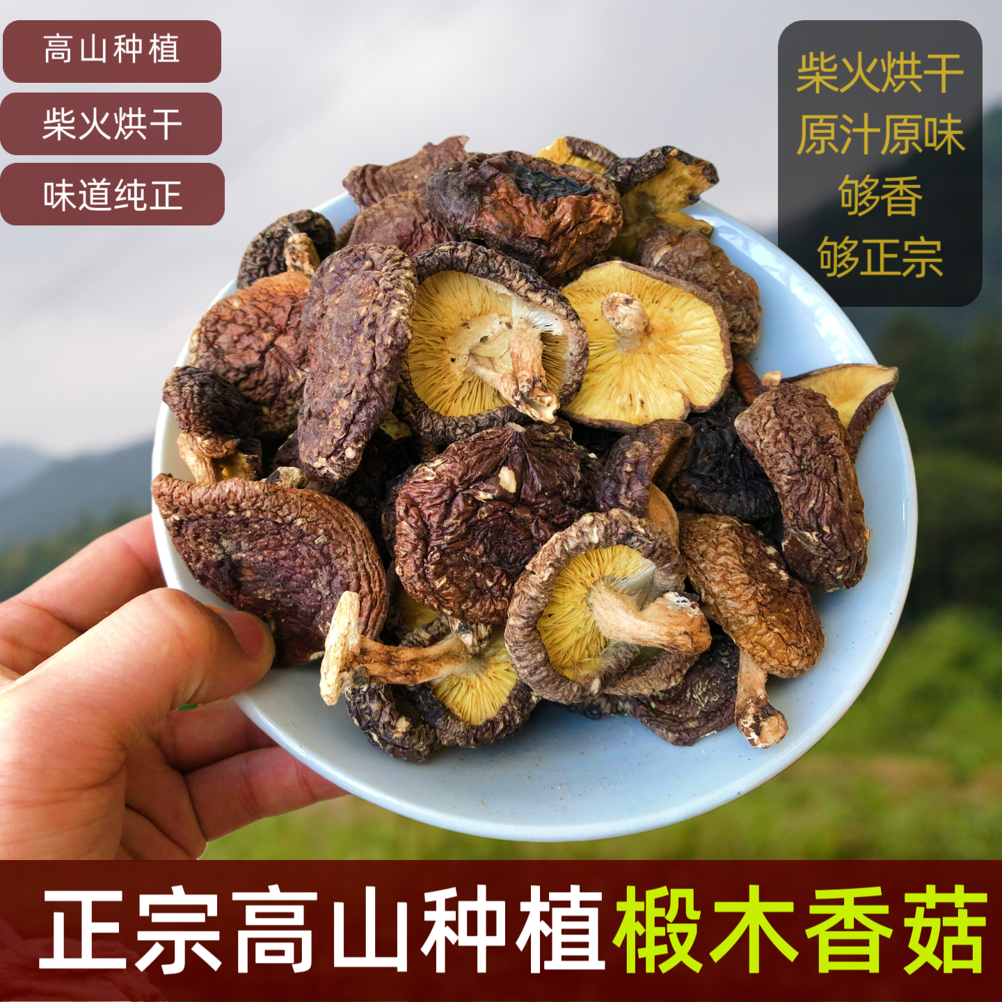 椴木香菇高山种植农家土特产柴火烘干广东河源连平农家风味干蘑菇