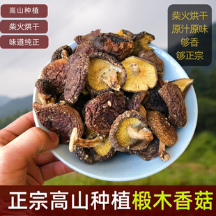 椴木香菇高山种植农家土特产柴火烘干广东河源连平农家风味干蘑菇