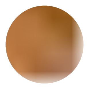 冰箱侧门鸡蛋盒家用透明鸡蛋格 厨房放鸡蛋的收纳盒保鲜盒鸡蛋架