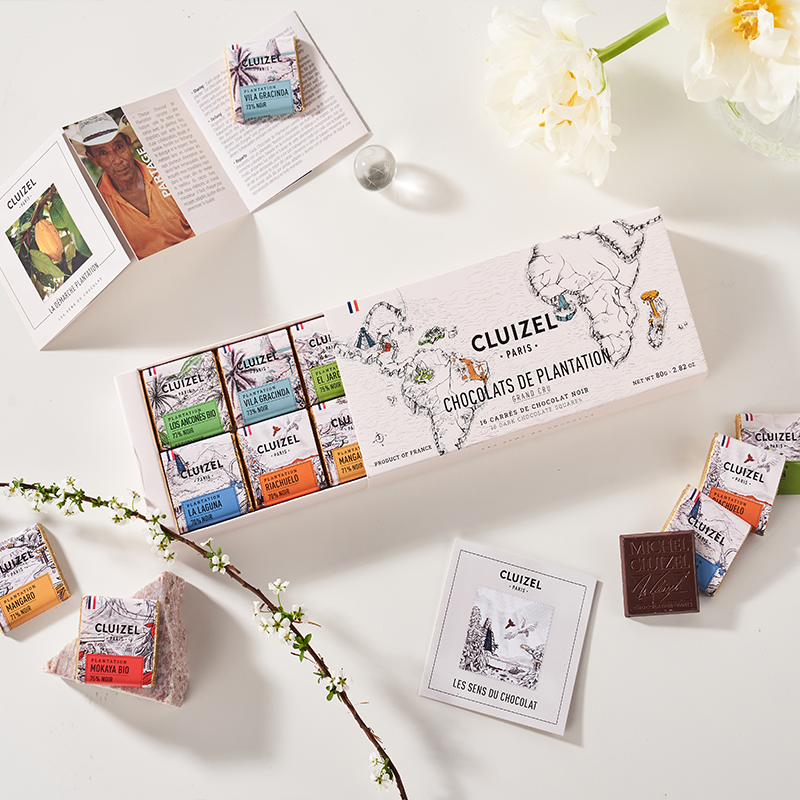 法国进口MichelCluizel小片礼盒