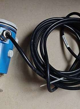 可维修E+H流量计S2008D1514C 实物拍照   包邮