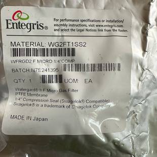 可维修Entegris英特格WG2FT1SS2过滤器