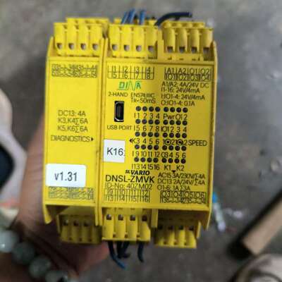 可维修DINA安全继电器  DNSL-ZMVK(40ZM02) 4