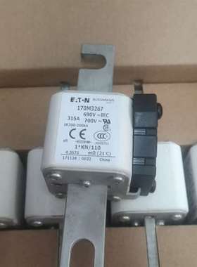 可维修全新巴斯曼ETN熔断器170M3267 保存不当