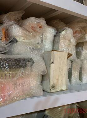 可维修康士伯模块 RDI32，RAI16XE，MEI，DPSC，M