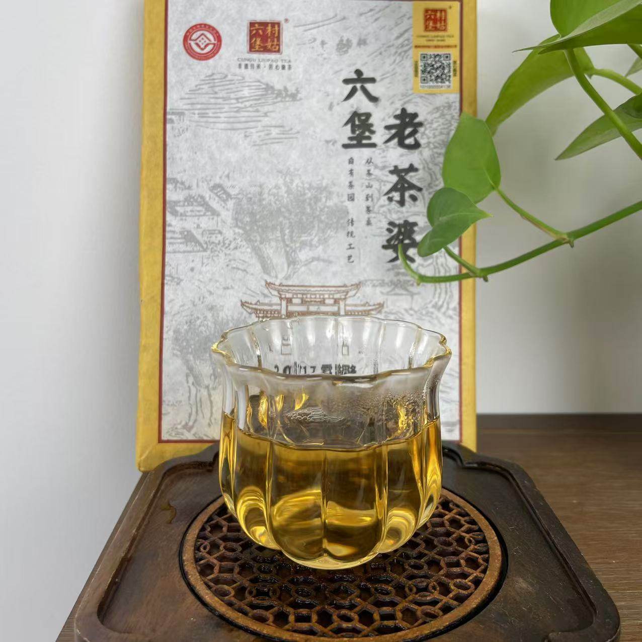 千树六堡茶【霜降老茶婆】2017年 甘蔗甜清甜可口 药香 原种村姑,茶,六堡茶,淘宝优惠券,粉丝福利购,淘宝优惠卷