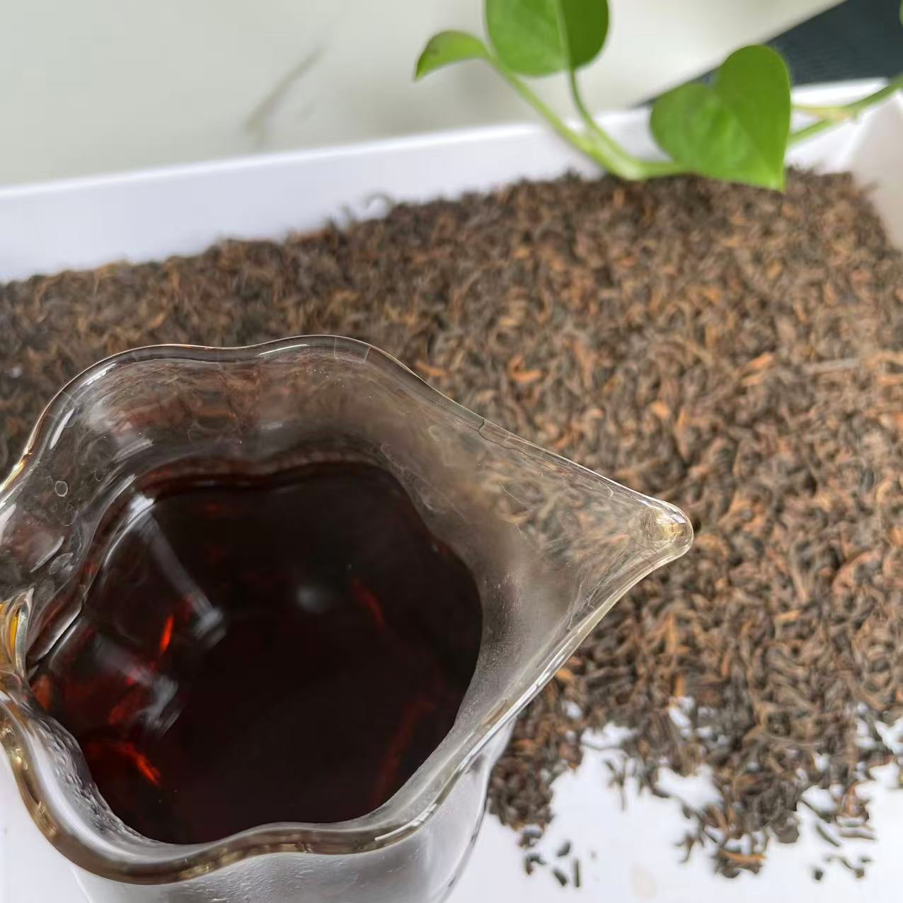 梧州六堡茶,参香,陈韵特级芽头