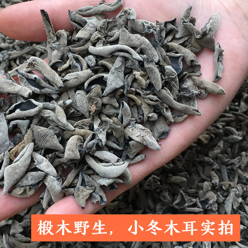 鼠耳 小碗耳小木耳秦岭椴木野生黑木耳250g/500g春木耳冬木耳可选 - 封面