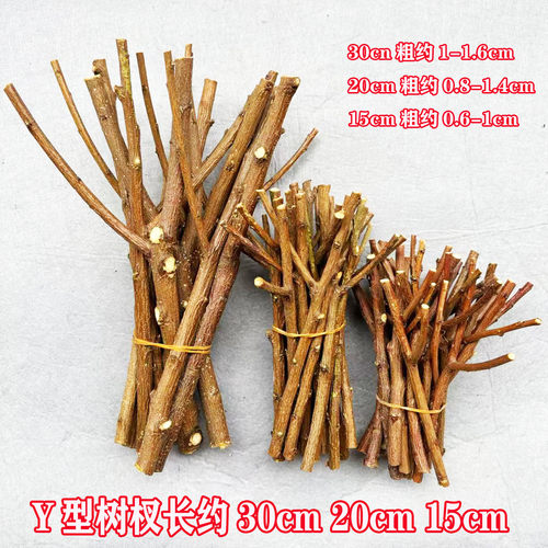 小树杈干树枝幼儿园手工DIY森系