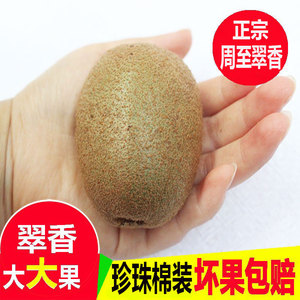 翠香猕猴桃陕西周至新鲜