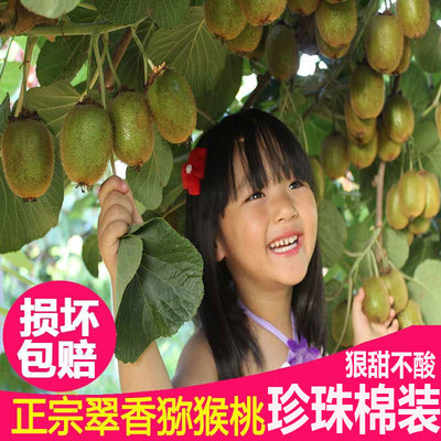 大果翠香猕猴桃包邮新鲜周至水果