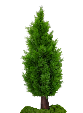 仿真松树绿植盆栽柏树大型圣诞假树青松植物室内摆放装饰橱窗造景