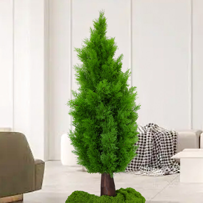 彷真松树绿植盆栽柏树大型圣诞假树青松植物室内摆放装饰橱窗造景