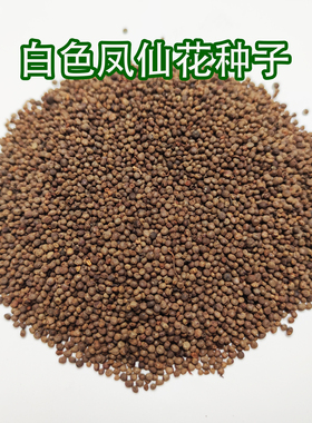 白色凤仙花种子红色指甲草花种籽染指甲学生实验花苗重瓣花卉