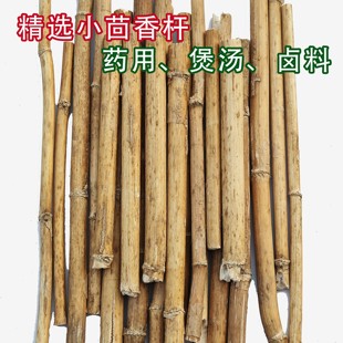 小茴香杆子干茴香杆新货老茴香根茴香枝干小茴香中药香料干货煲汤