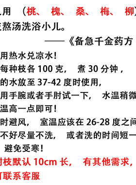 洗三新生儿五枝汤新鲜五枝水原料泡澡泡脚梅枝柳枝桃枝槐枝桑枝