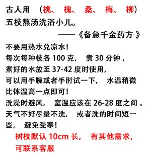 洗三新生儿五枝汤新鲜五枝水原料泡澡泡脚梅枝柳枝桃枝槐枝桑枝