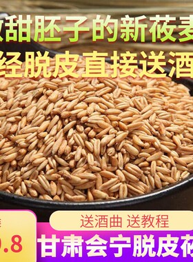 甘肃省会宁脱皮莜麦燕麦甜胚兰州酒胚子农产品甜醅奶茶原料5斤装