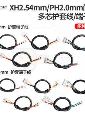PH2.0mm/XH2.54mm纯铜多芯2464护套端子连接线 单/双头电子线2-6P