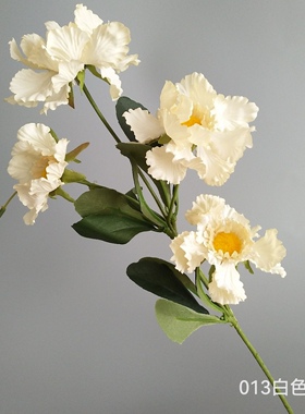 4头轮风菊醉芙蓉家居客厅餐桌样板间装饰摄影直播拍照道具仿真花