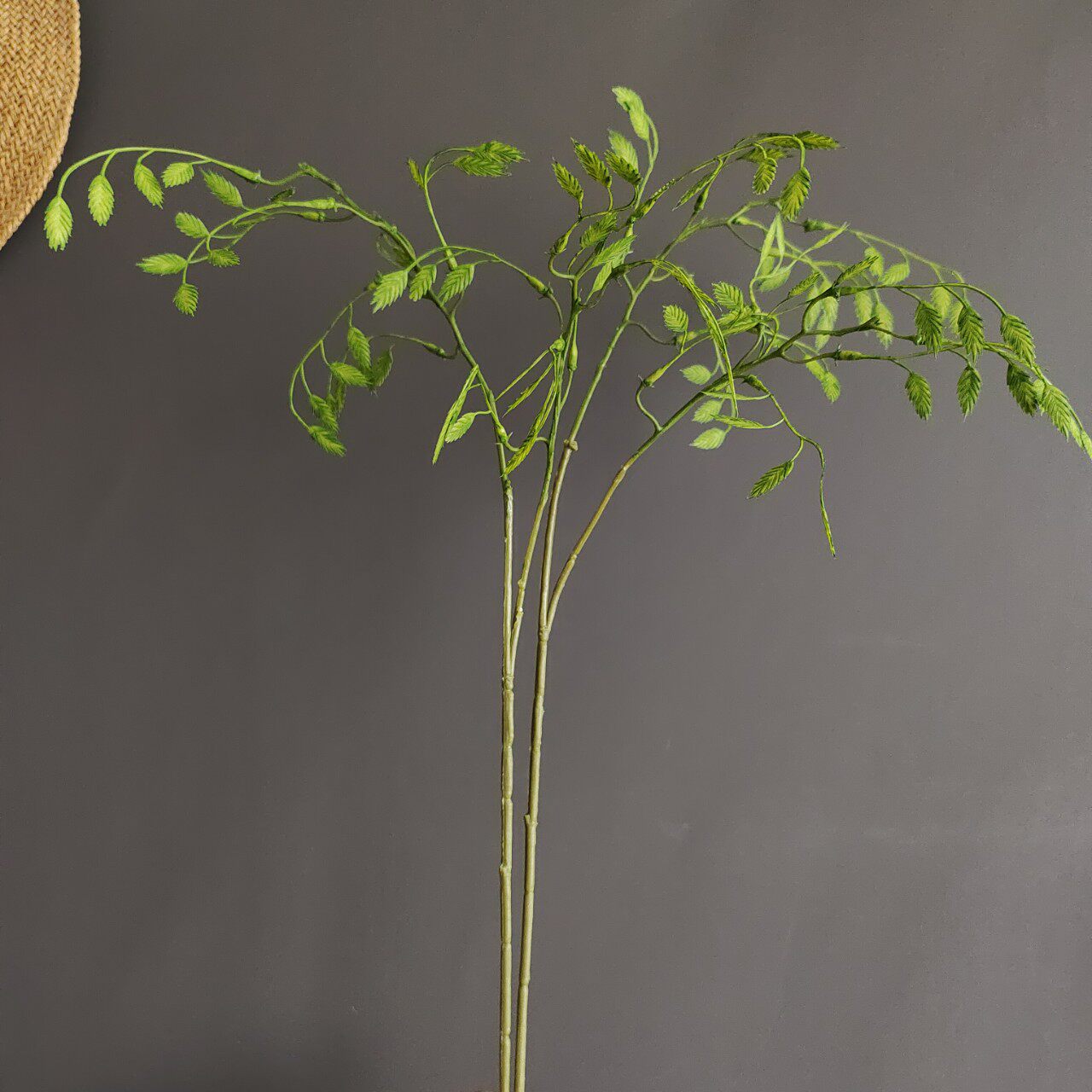 仿真植物叶材无叶单支2叉小盼草 家居样板间婚庆设计插花配材批发